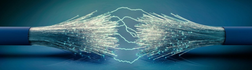 Свяжитесь с нами