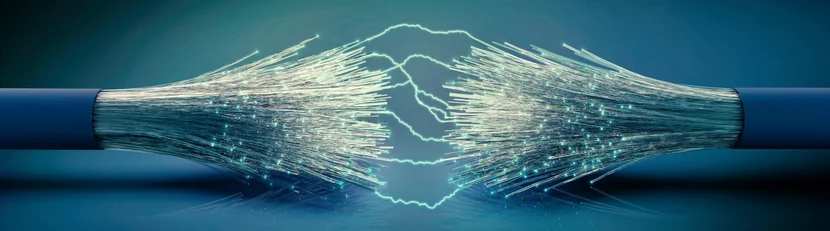 Свяжитесь с нами